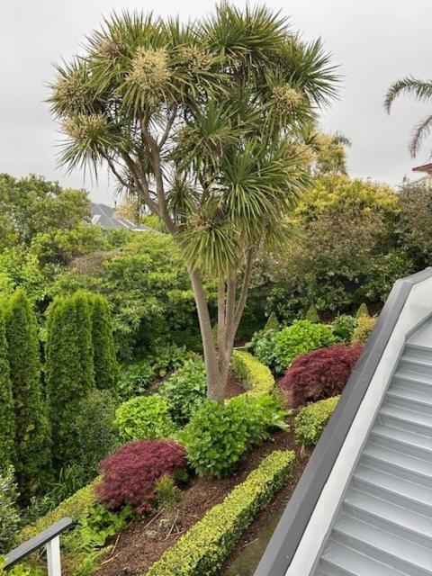 Luxury Villa On Napier Hill Bagian luar foto